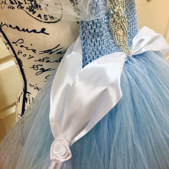 CINDERELLA couture tutu dress/costume - Picture 3 of 8